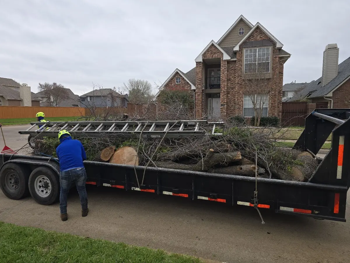 Expert Lot Clearing with proper safety equipment in Clinton